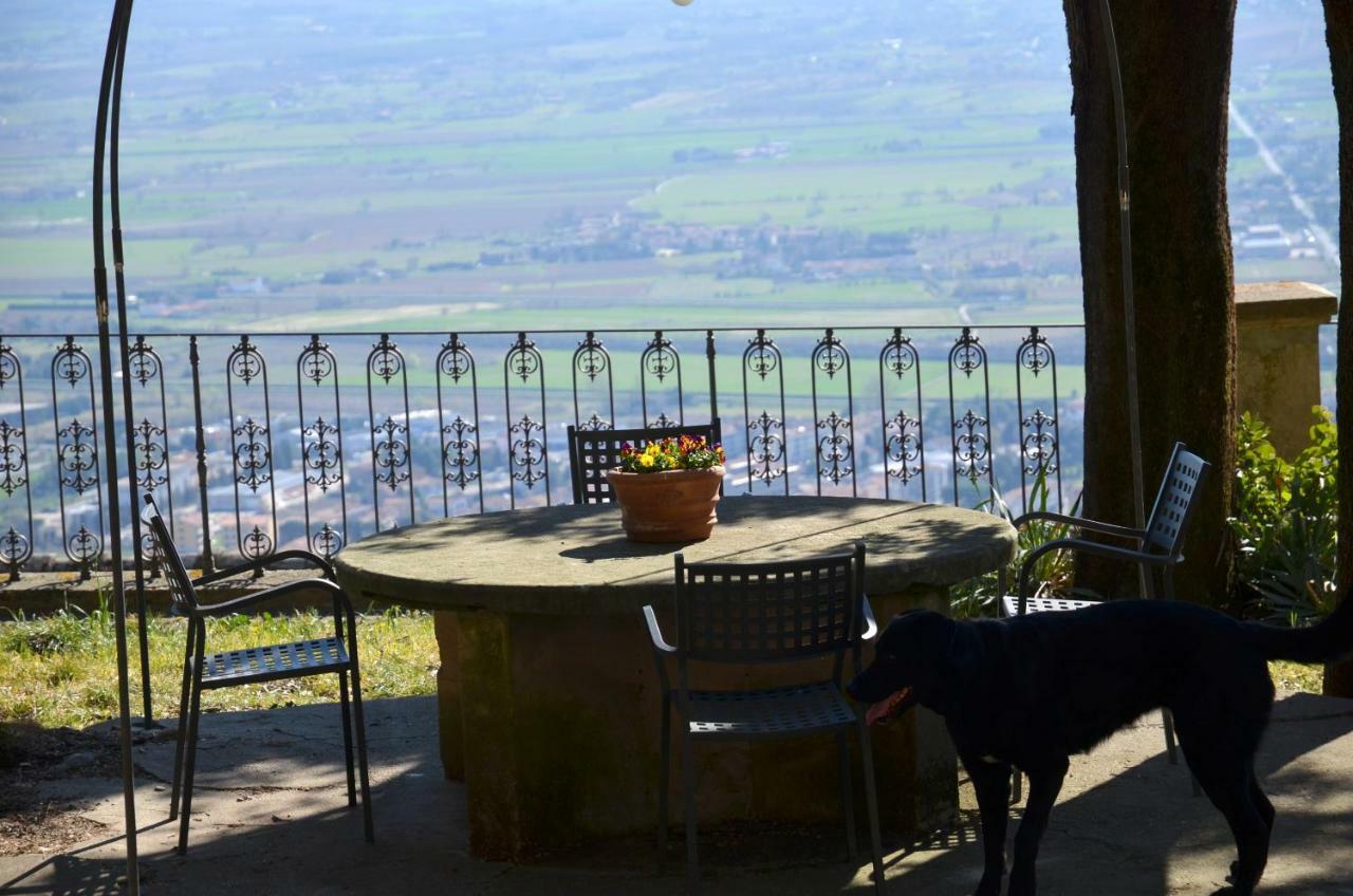 Donnaberarda Apartment Cortona Exterior foto