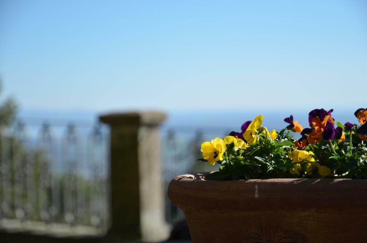 Donnaberarda Apartment Cortona Exterior foto